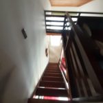 701db38b-97dd-4705-9000-e7ec57d00390